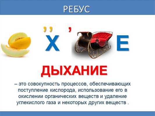 Ребус,,Х,ЕДЫХАНИЕ- это совокупность процессов, обеспечивающих поступление кис. 