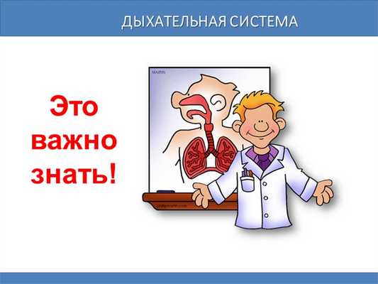 Дыхательная системаЭто важно знать!