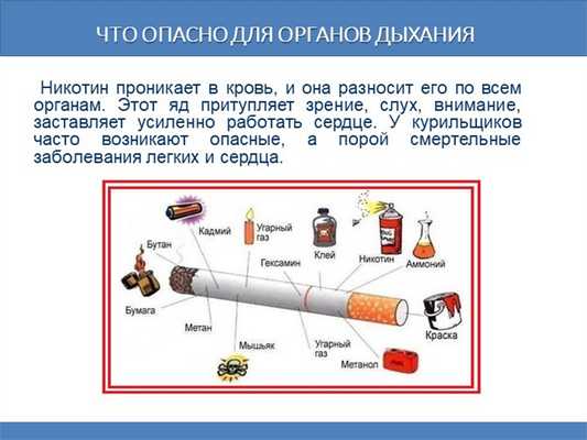 Что опасно для органов дыхания Никотин проникает в кровь, и она разносит его. 
