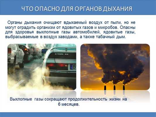 Что опасно для органов дыхания Органы дыхания очищают вдыхаемый воздух от пы. 