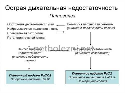 Патогенез заболевания дефицита кислорода