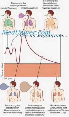 внешнее дыхание