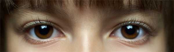 Что передается по наследству 2