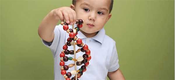 Что передается по наследству?