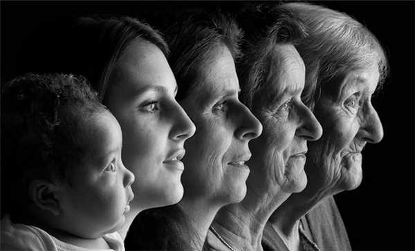 Что передается по наследству 4