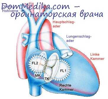 гемодинамика