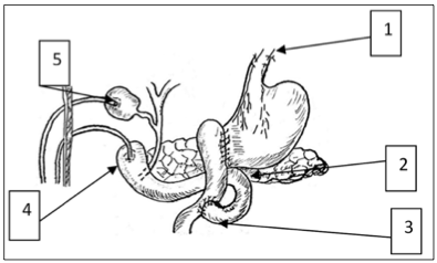 Снимок экрана 2014-10-24 в 19.19.42