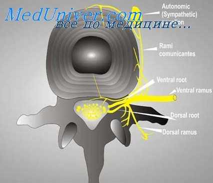 лечение больших каверн