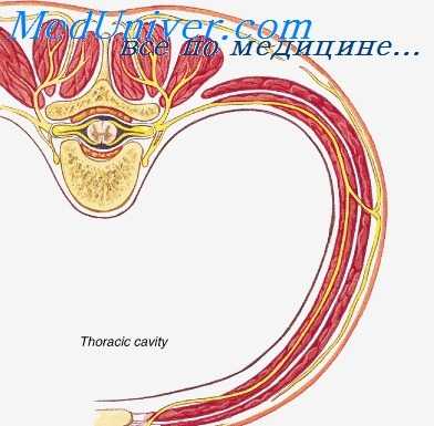 кавернотомия