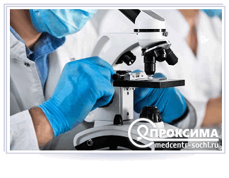 Гистологическое исследование