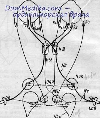 механизмы нистагма
