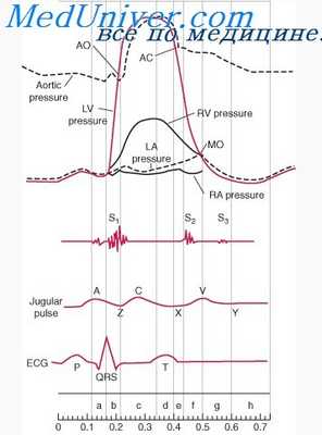 венозный приток
