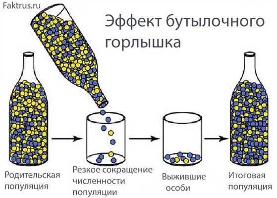 Эффект бутылочного горлышка