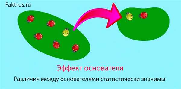 Эффект основателя