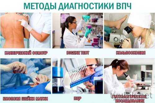 Методы диагностики патологии