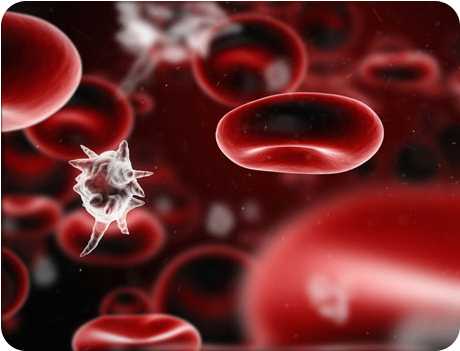 Септический шок