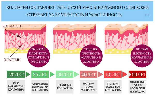 Выработка коллагена