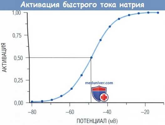 Активация быстрого тока натрия