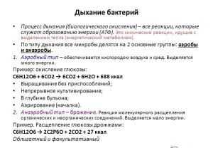 дыхание бактерий