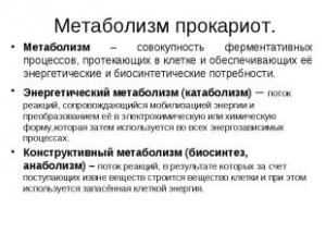 метаболизм прокариот