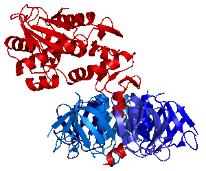 Шига-токсин