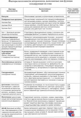 Факторы патогенности энтерококков