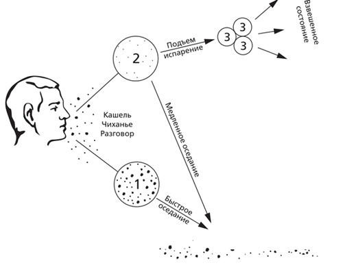 рисунок к статье 2.1.png