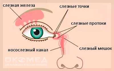 заболевания слезных желез
