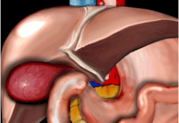 Снимок экрана 2016-04-20 в 21.52.43