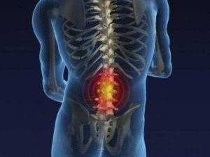 Крестцово-поясничный отдел позвоночника