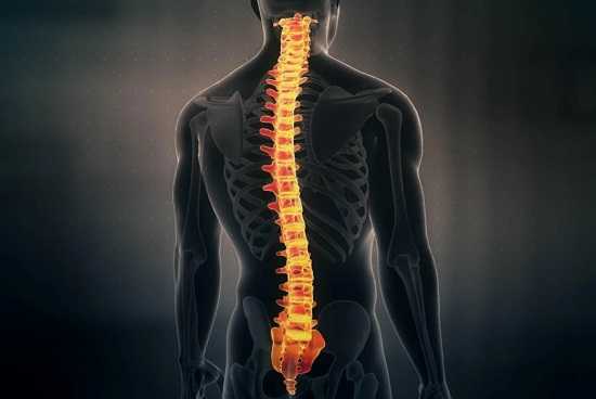 Боль в спине в области поясницы
