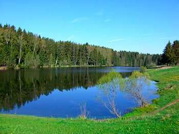 Пейзаж частного стационара в Щекутино