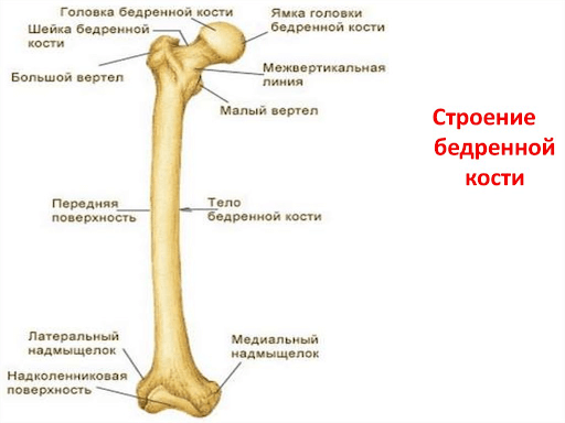 Перелом бедра 2