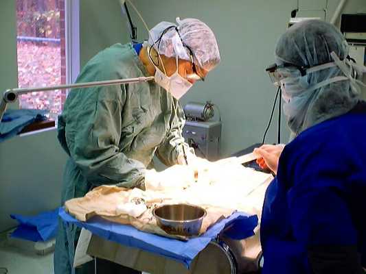 удаление опухоли на молочной железе