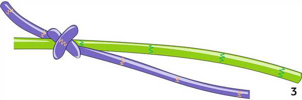 Схема узла «Грейпвайн»