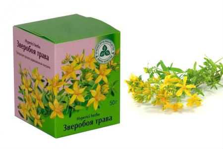 Зверобой