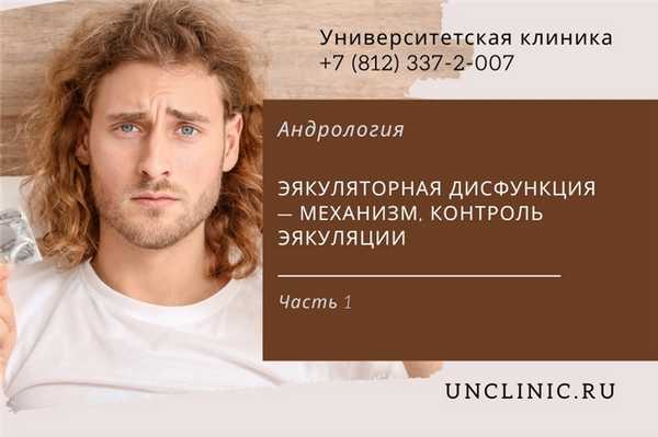You are currently viewing Эякуляторная дисфункция: механизм, контроль эякуляции — часть 1