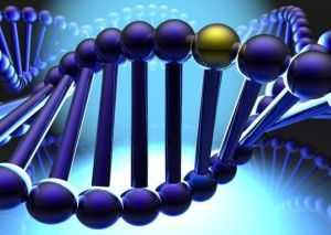 генная диагностика