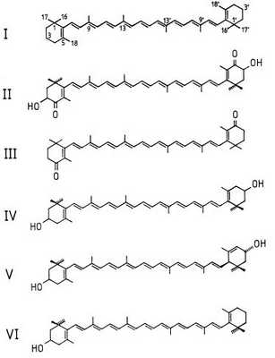 Структурные формулы некоторых каротиноидов