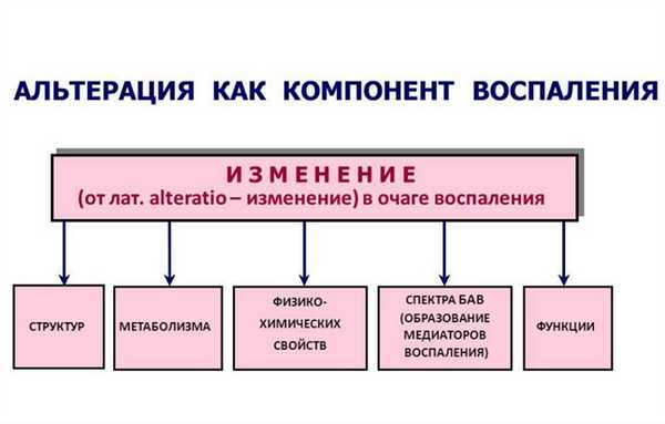 Альтерация