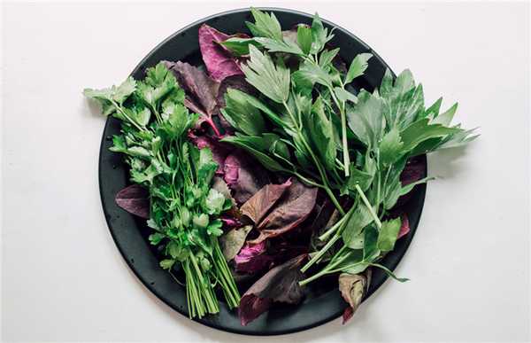 Фото: Shutterstock