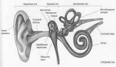https://studfile.net/html/2706/741/html_fDmXQ9UXz8.3VH4/img-xiJQ9x.jpg