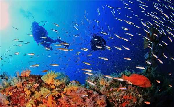 Дайвинг на Пхукете