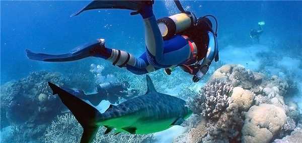 Что такое дайвинг?