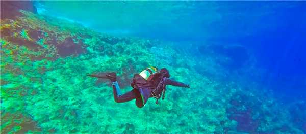 полезен ли дайвинг для человека