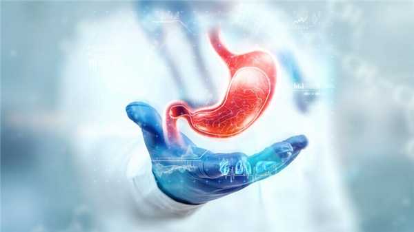 Желудок человека