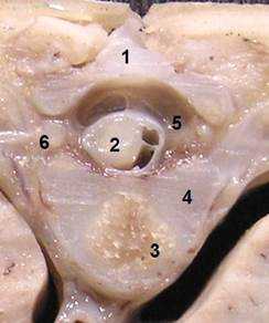 54-11 гр.позв..JPG