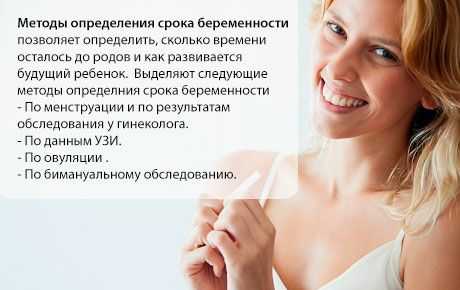 Определение срока беременности