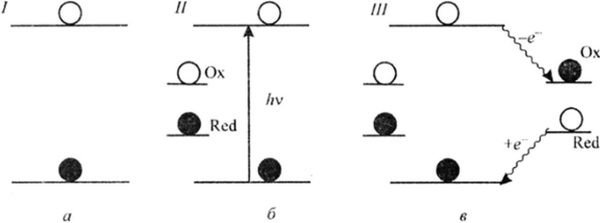 Схема синхронного окислительно-восстановительного взаимодействия фотовозбужденного хлорофилла (по В. Б. Евстигнееву)