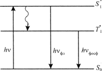 Схема возбуждения и дезактивации хлорофилла